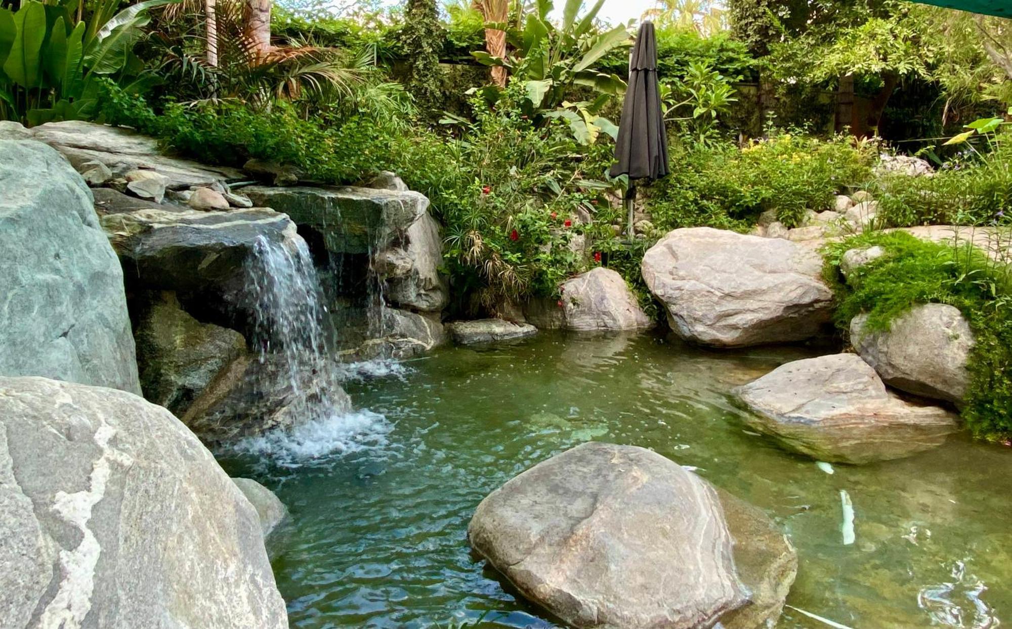 Vista Grande Resort - A Gay Men'S Resort Palm Springs Exteriör bild