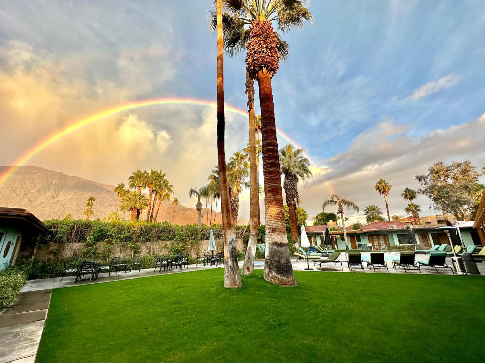 Vista Grande Resort - A Gay Men'S Resort Palm Springs Exteriör bild